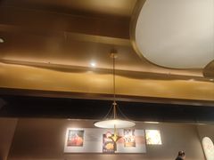 -佬肥猫(国华广场店)