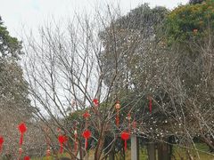 -广州市白云山风景名胜区