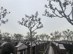 -上海望仙安息园