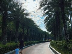 -三亚海棠湾喜来登度假酒店