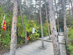 -帽儿山国家森林公园