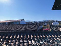 -YLK云南小粒咖啡·云里咖(二号店)