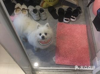 我叫丢丢～我一岁半啦～我是妈妈开车开了一百多公里接回