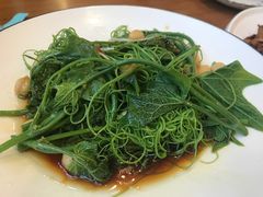 -巴依老爷新疆美食(望京小街店)