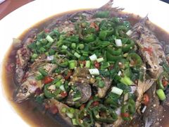 -全乐鱼馆·淳牌有机鱼直营店