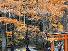 -三千院
