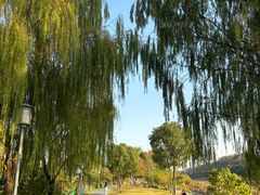 -月湖风景区