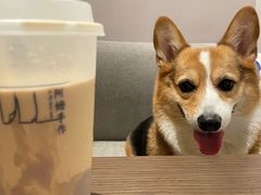 -阿嬷手作(南宁百盛印象城店)