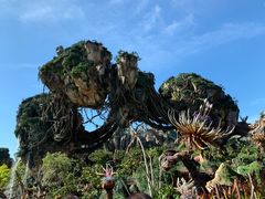 -奥兰多迪士尼动物王国乐园