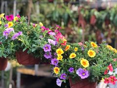 -The Flowers Coffee(南山店)