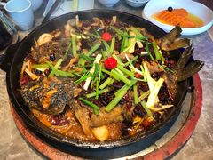 -老板恋上鱼(恒隆广场店)