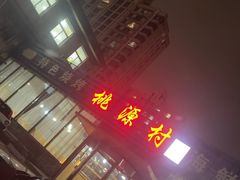 -桃源村铁锅炖鱼(体育馆道店)