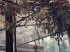 大堂-Toris(LuOne凯德晶萃广场店)