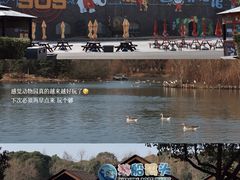 -宁波野生动物园