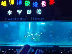 -泉城欧乐堡海洋极地世界