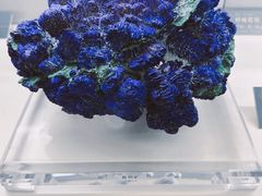 -中国地质博物馆