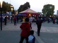 游乐设施-高东镇樱花园