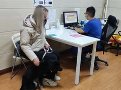 -北京观赏动物医院·24小时大型综合·猫专科·异宠专科