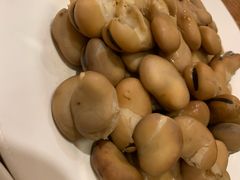 -清真吴记门钉肉饼·喜多利