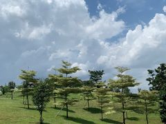 -东莞植物园