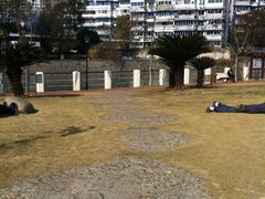 雁湖公园-雁荡山雁湖景区