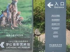 -罗红摄影艺术馆