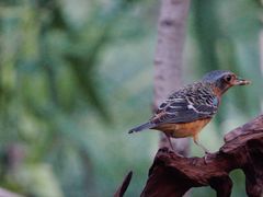 -苏州河梦清园环保主题公园