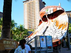 -亚马逊丛林水乐园