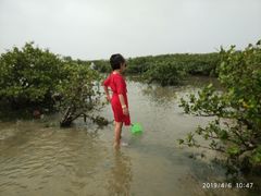 -北海金海湾红树林生态旅游区