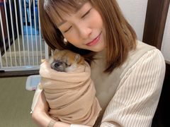 -逗柴咖啡屋·狗咖猫咖宠物桌游