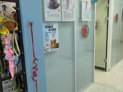 -全心全意连锁动物医院·微创中心·内科急重症·心脏专科(丰管路店)