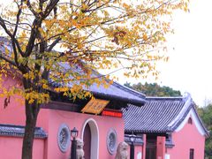 -贡湖湾湿地公园