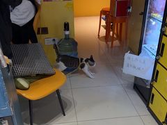 -谜盒子奇幻密室(南屏店)