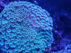 -石家庄极地海洋世界