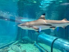 -福州罗源湾海洋世界旅游区