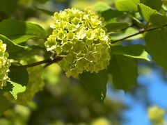 -上海滨江森林公园