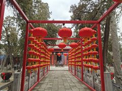 -关林