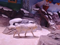 -上海海昌海洋公园-冰山北极馆