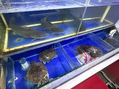 -活鱼馆(宜兴埠店)