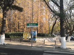 -八大关景区