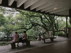 -香港大学