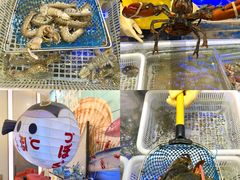 -喜碧海鲜·二十年本土海鲜老字号(上排店)