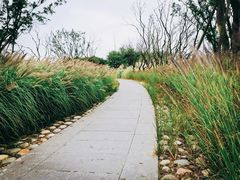 -白鹭湾湿地公园