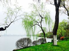 -浙江西子宾馆·瑶园咖啡厅