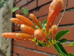 -福州淑佩小金星幼儿园