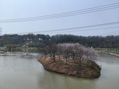 -佛手湖郊野公园