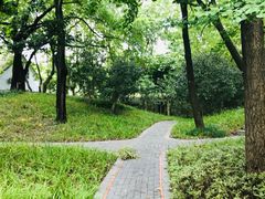 -徐家汇源景区-衡山公园