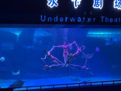 -泉城欧乐堡海洋极地世界