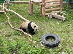 -沈阳森林动物园