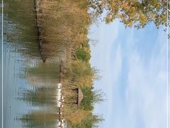 -金塔沙漠胡杨林景区